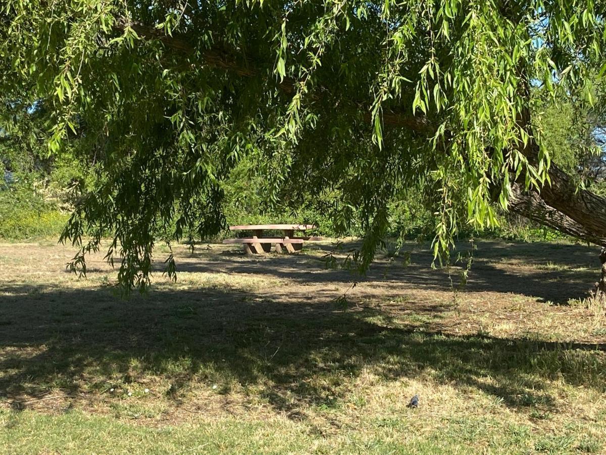 Clearlake Cabins מראה חיצוני תמונה
